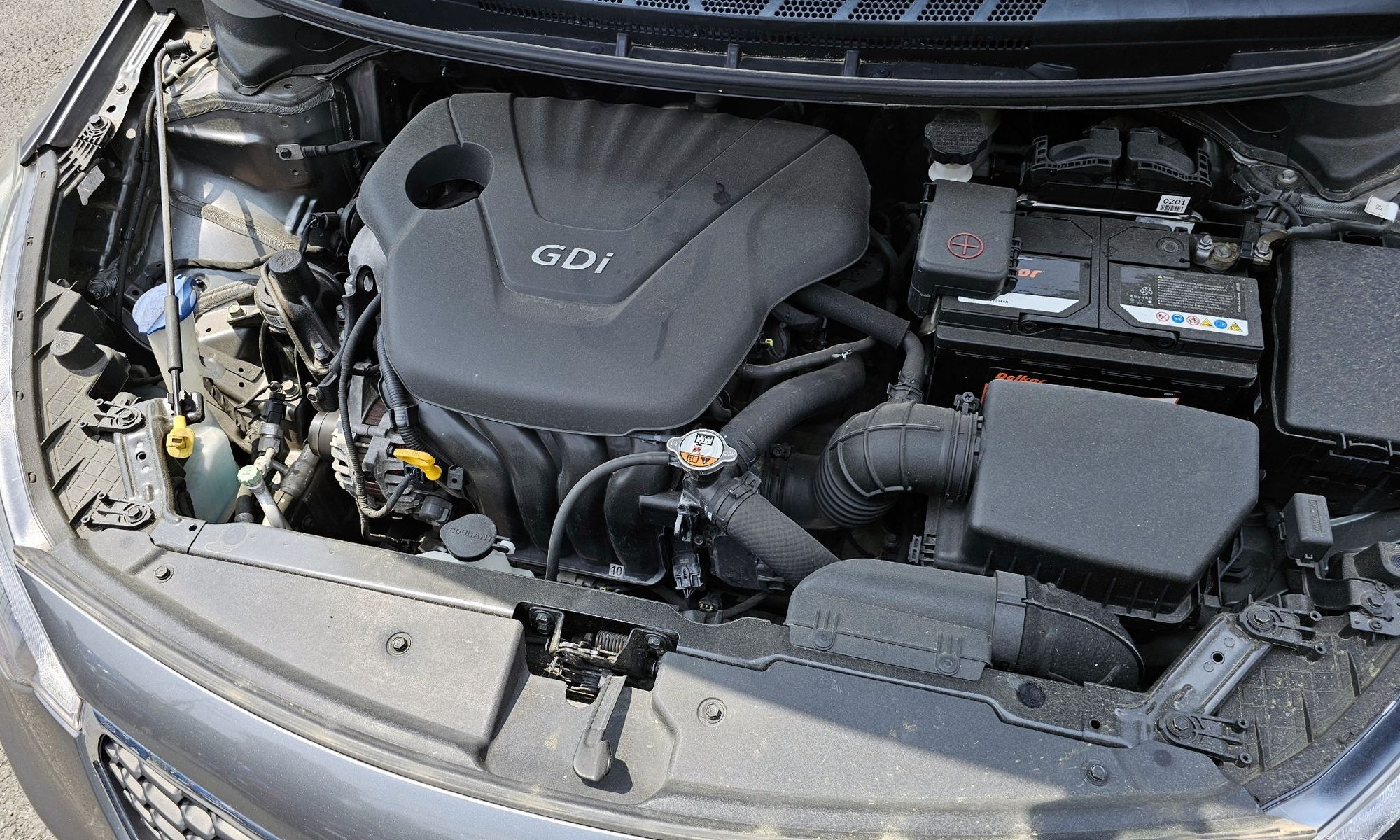 Image 5