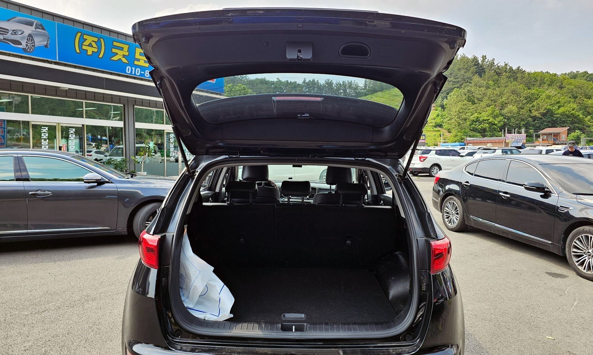 Image 19