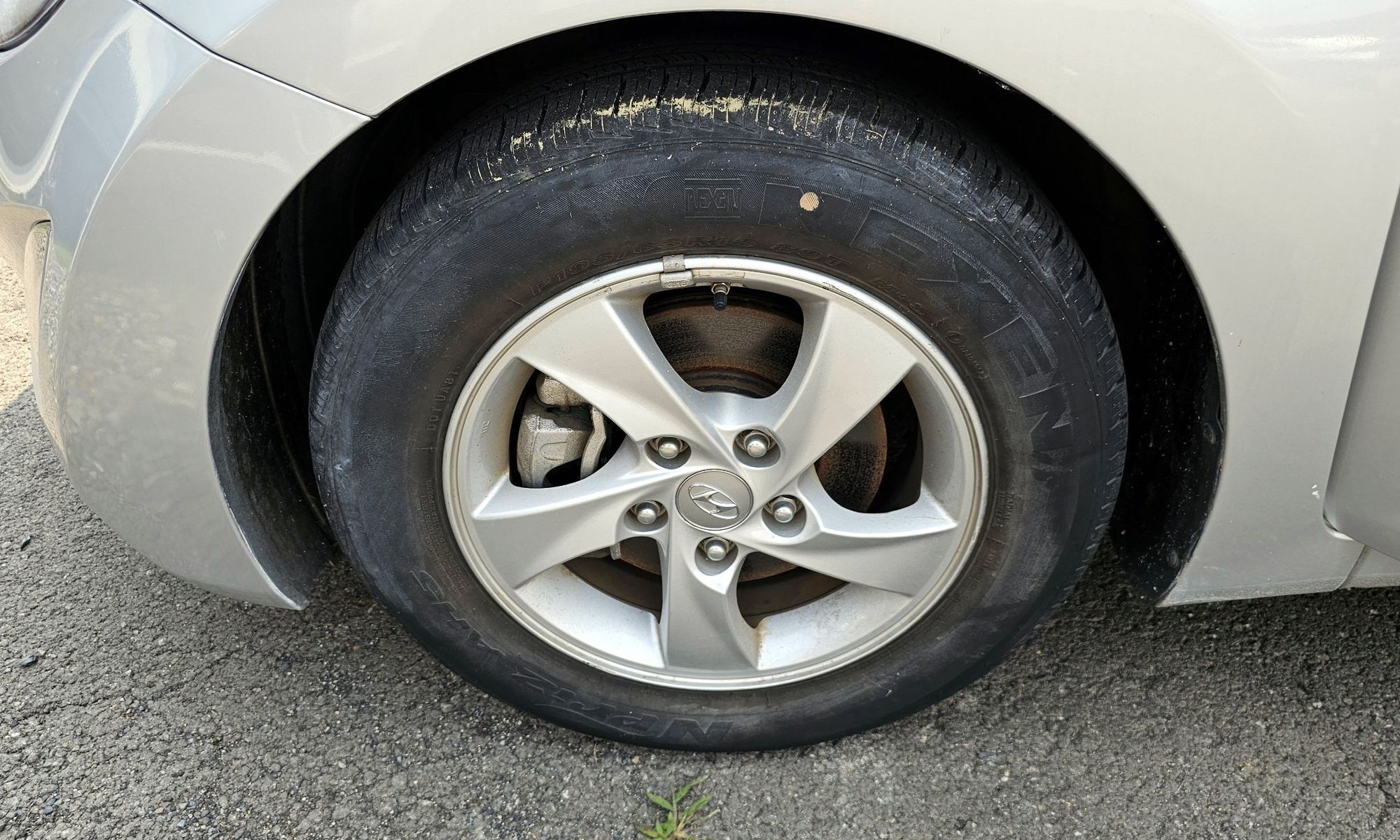 Image 4