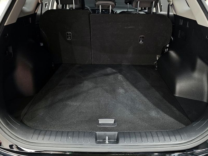 Image 19