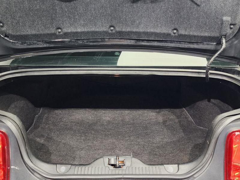 Image 19