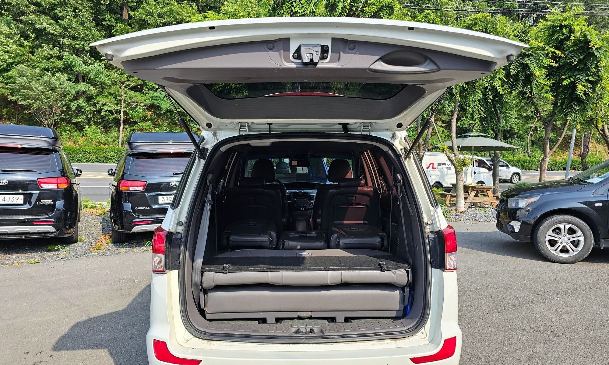 Image 19