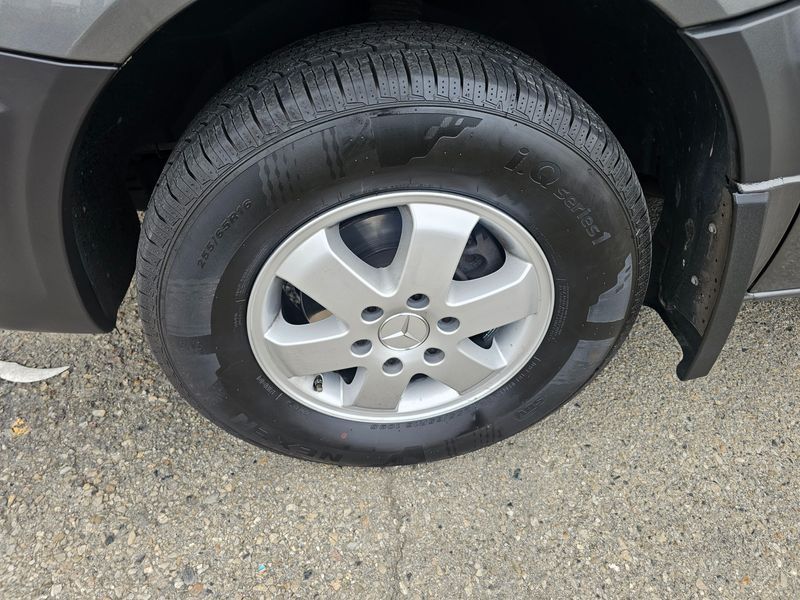 Image 12