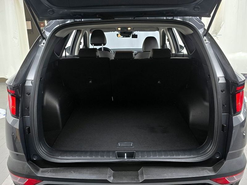 Image 19