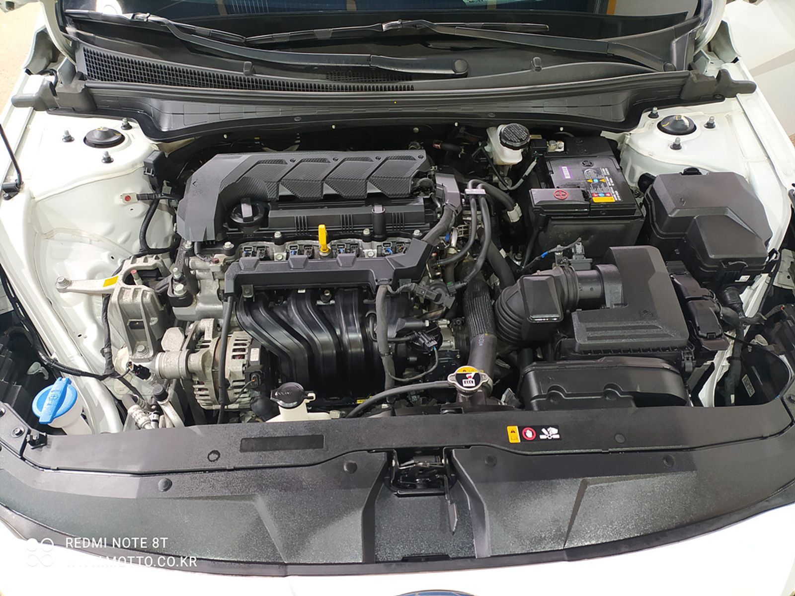 Image 5