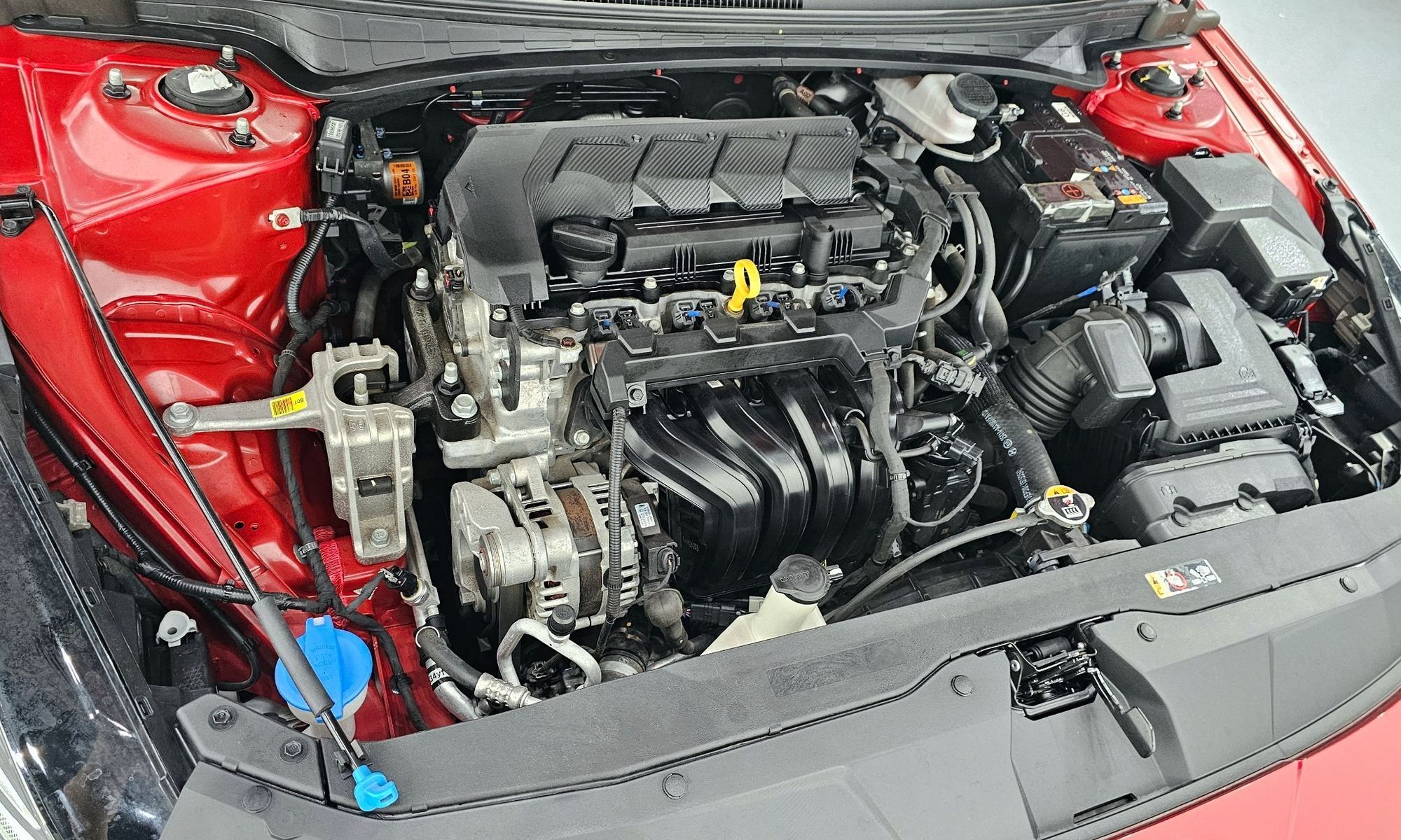 Image 5