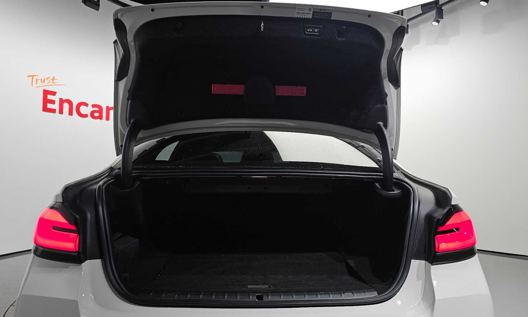 Image 19