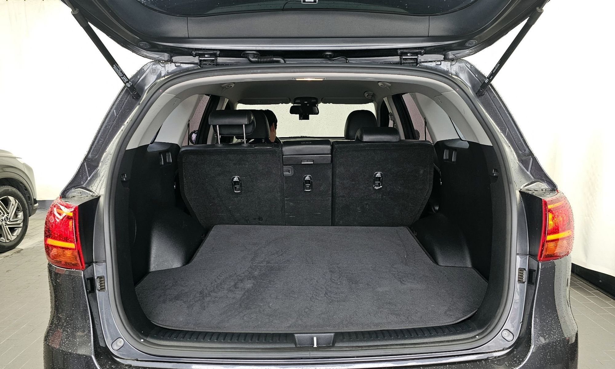 Image 19