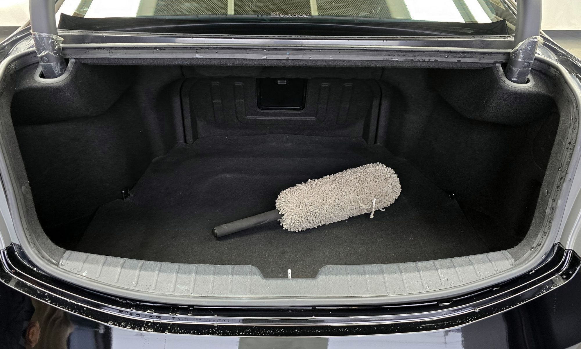 Image 19