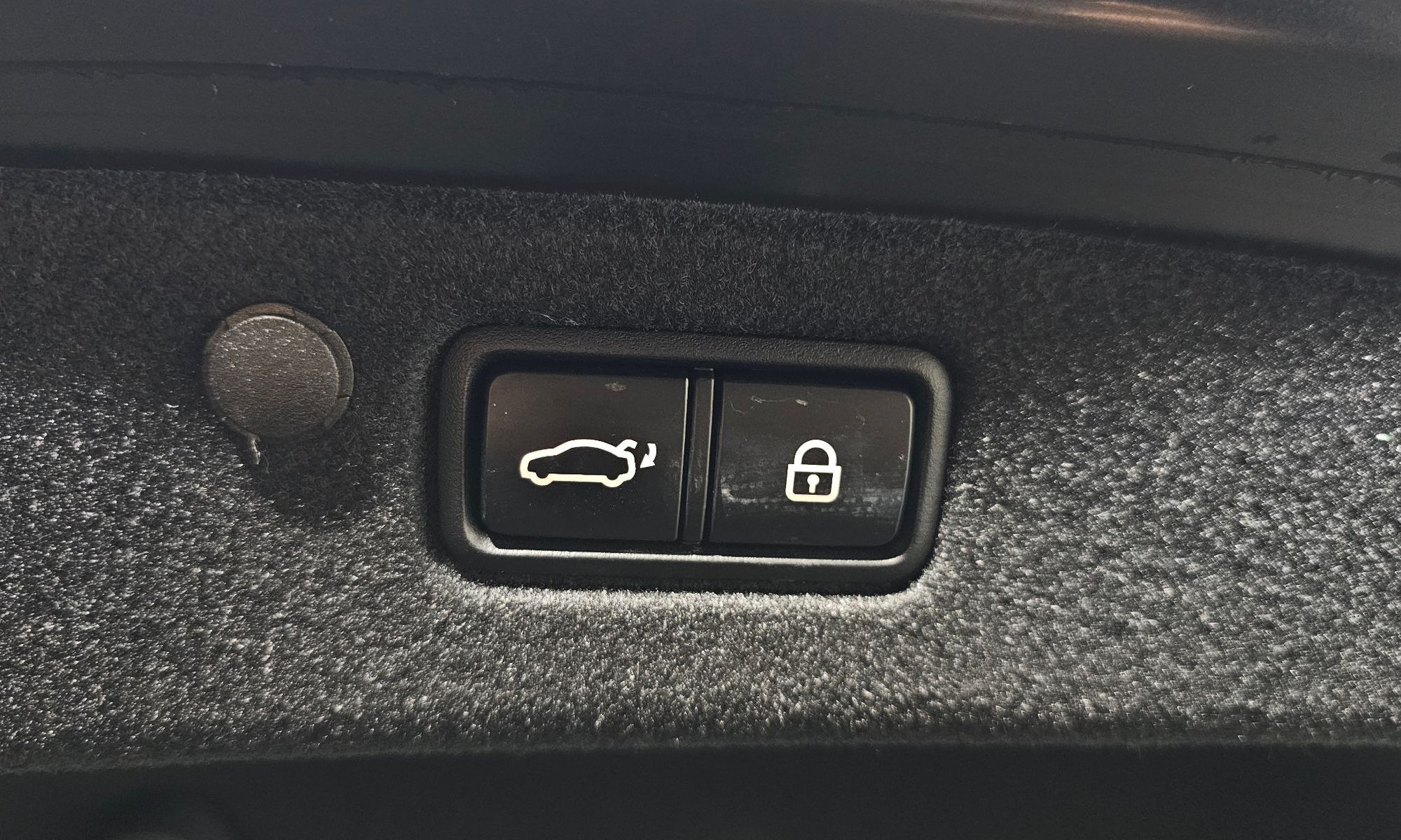 Image 19
