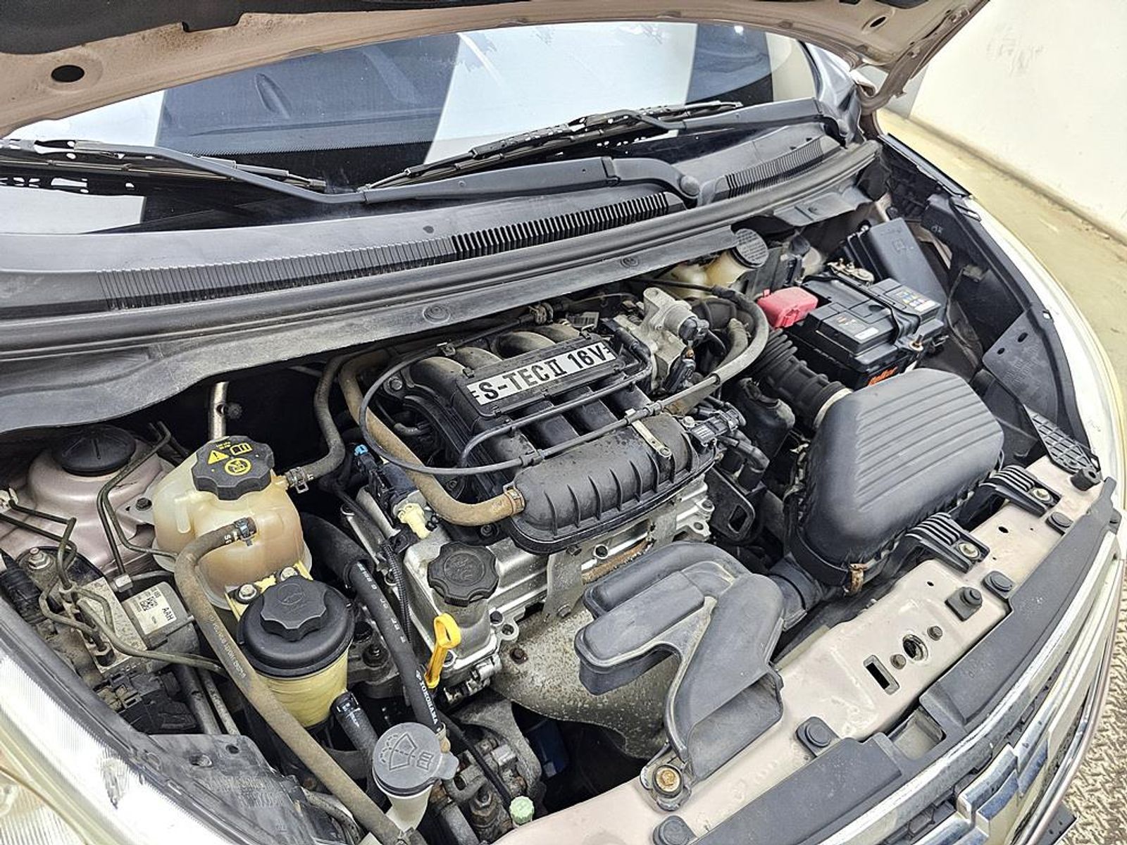 Image 5