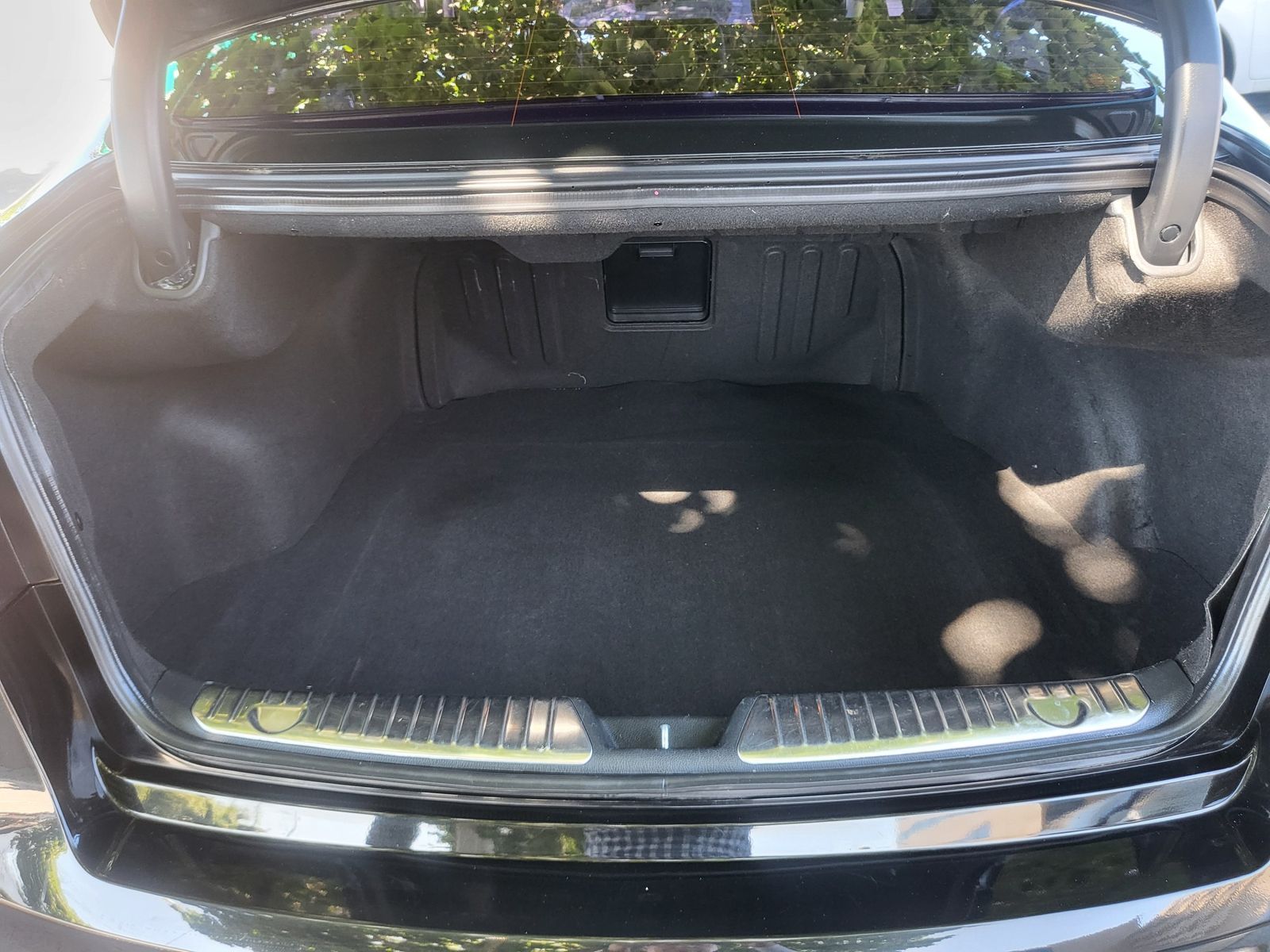 Image 19