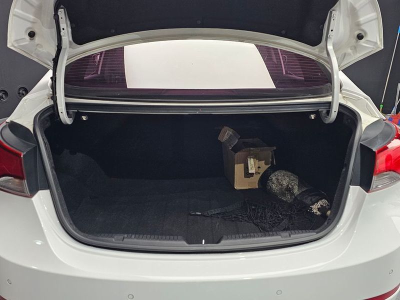 Image 19