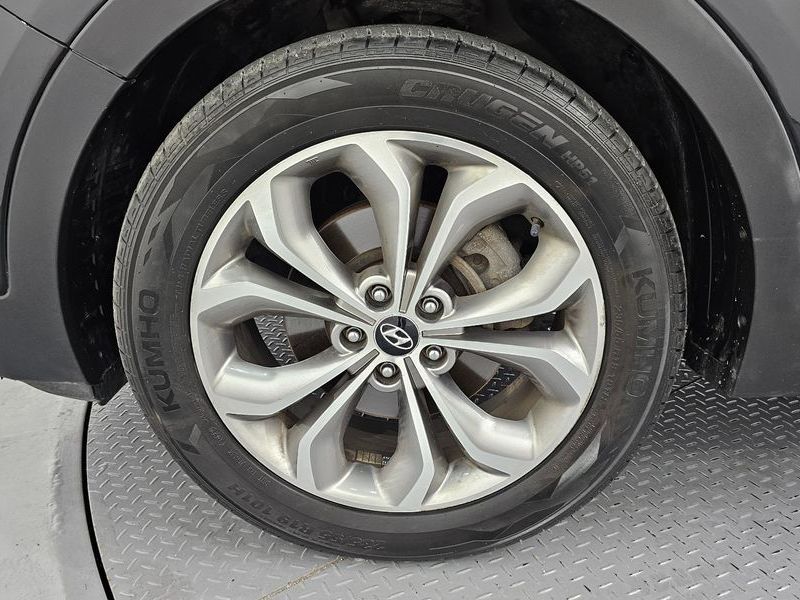Image 4