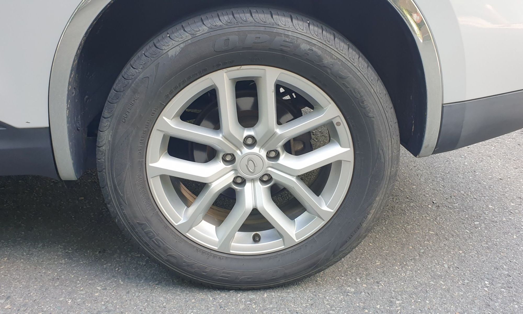 Image 7
