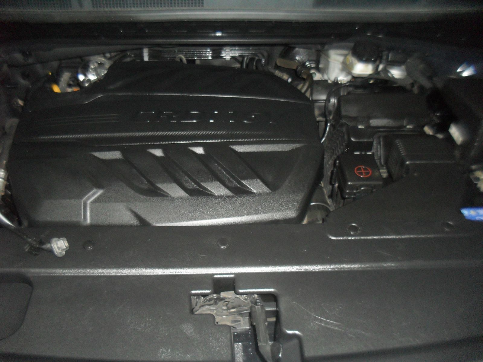 Image 19