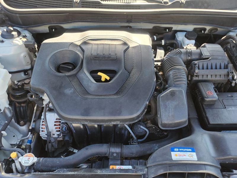 Image 8