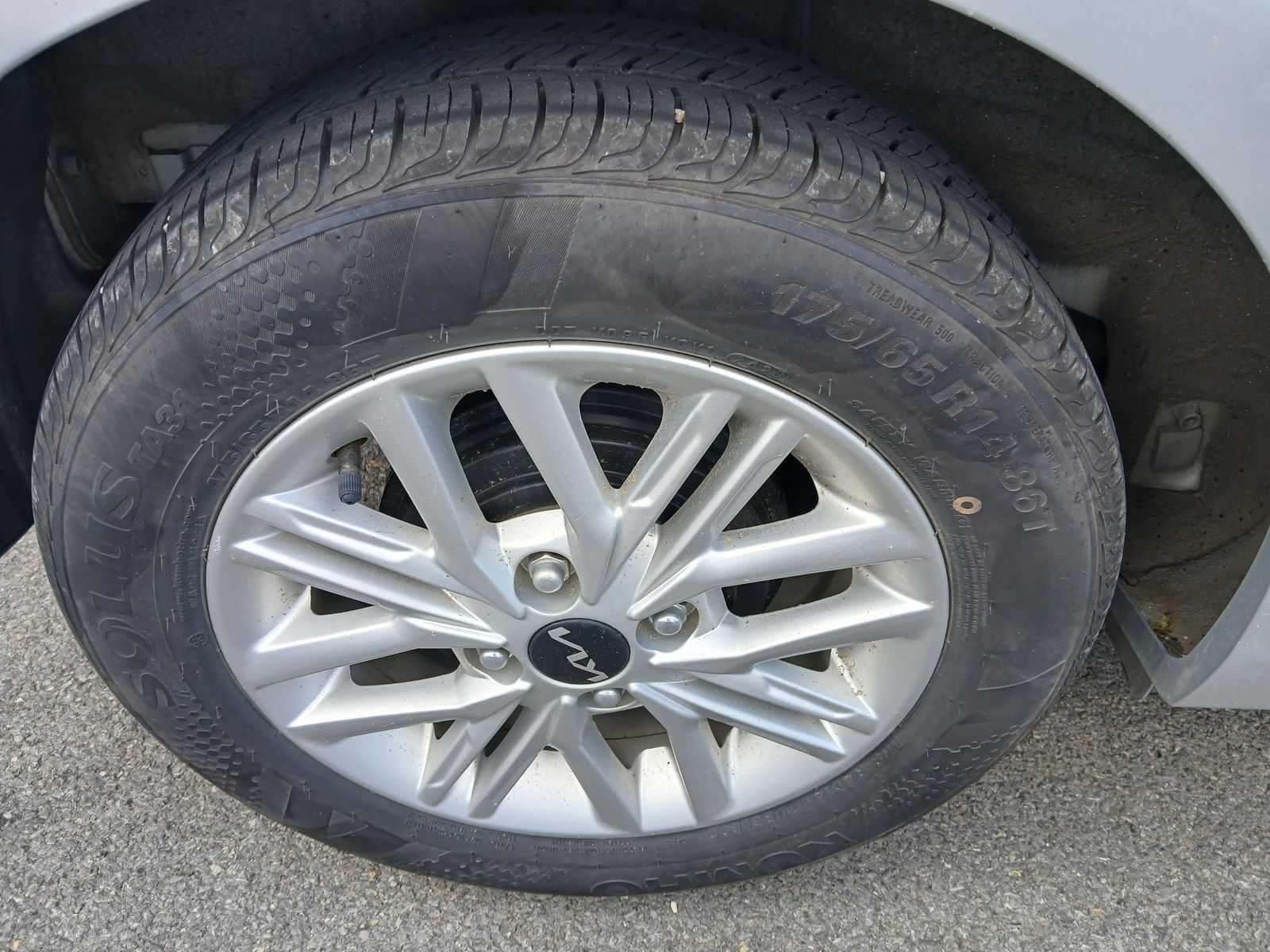 Image 4