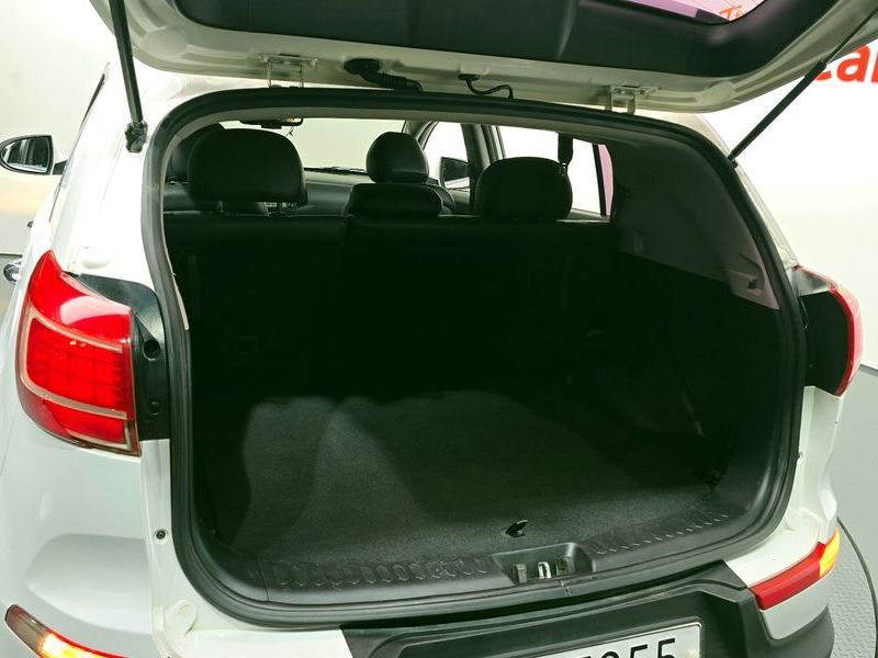 Image 19