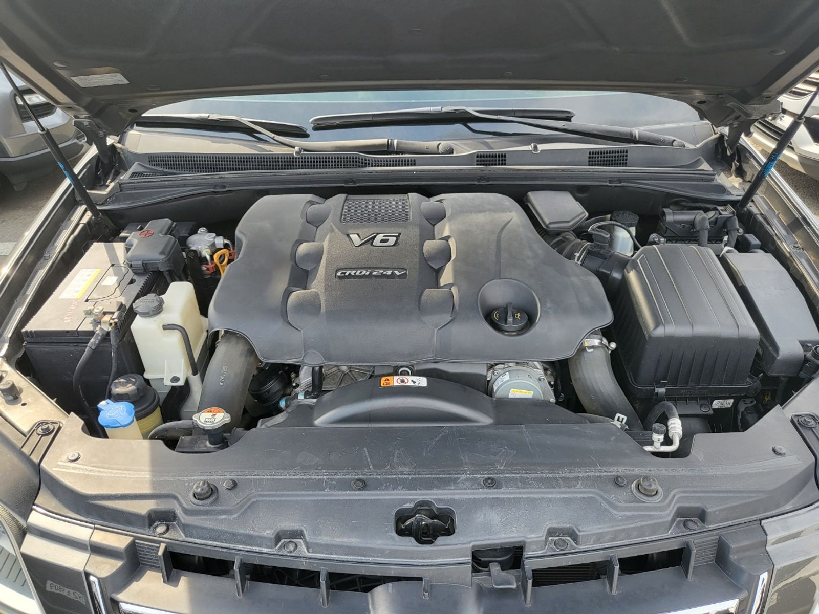 Image 19
