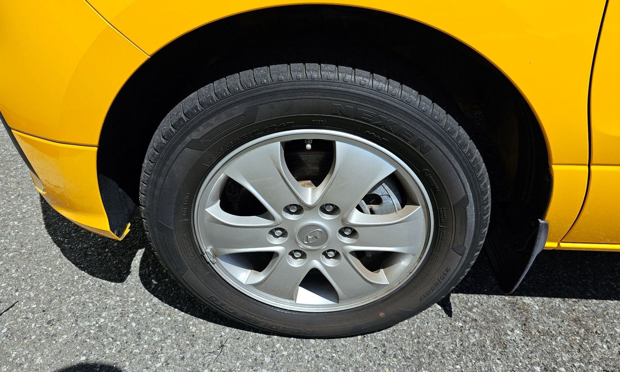 Image 4
