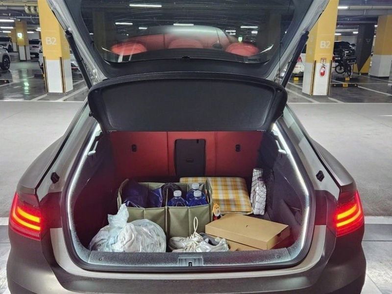Image 19