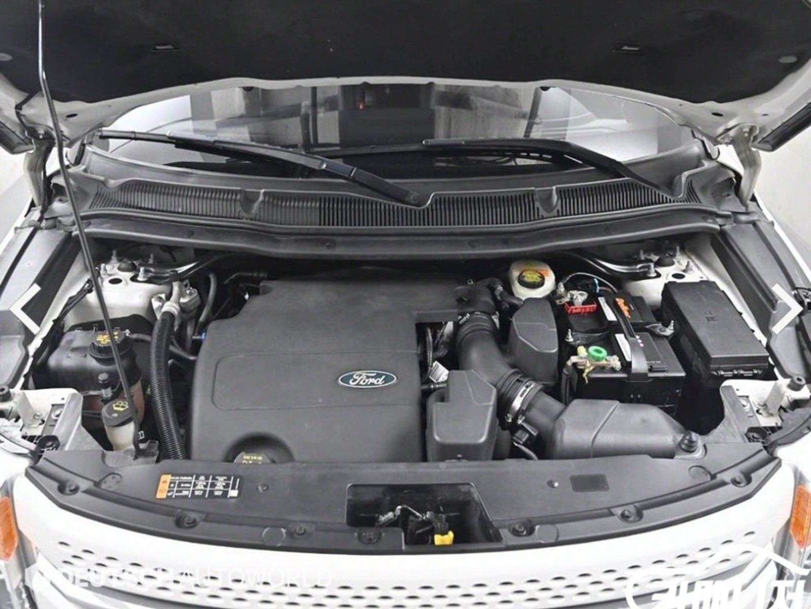 Image 6