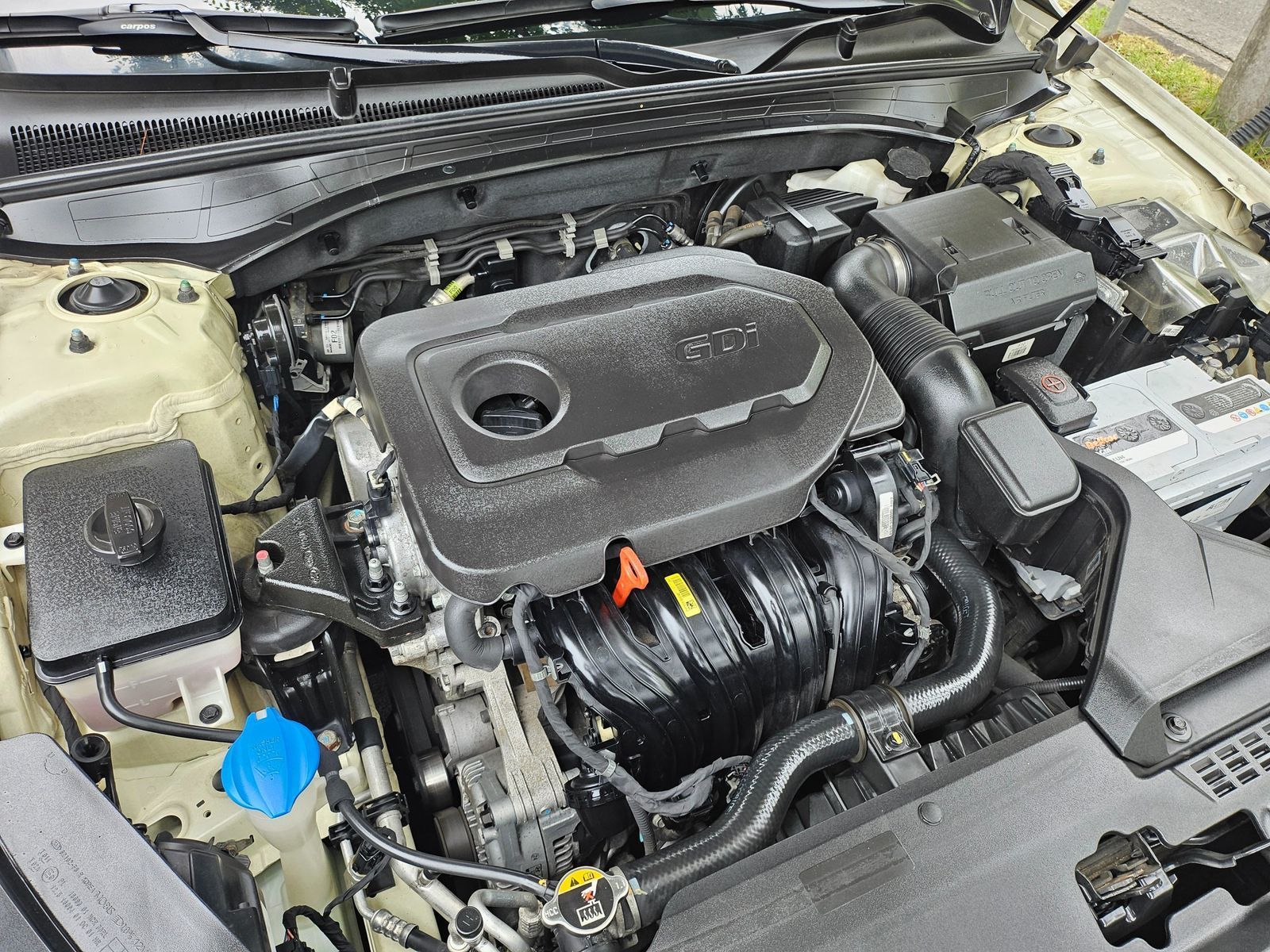 Image 7
