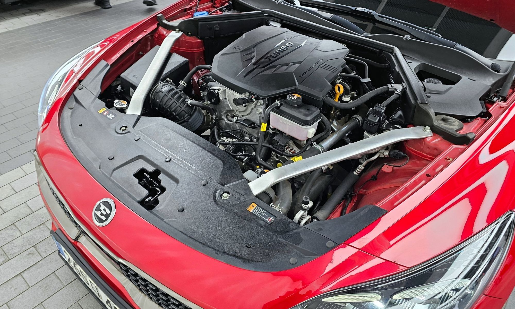 Image 5