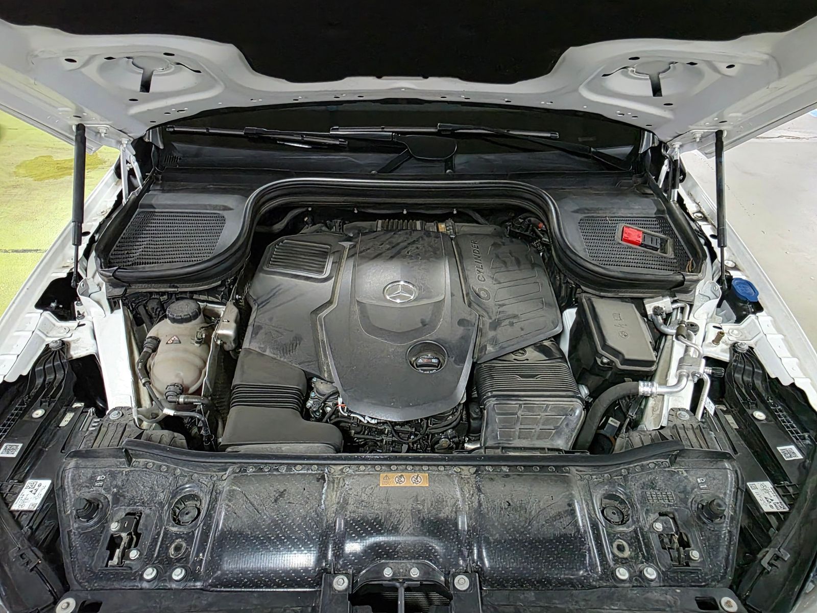 Image 5