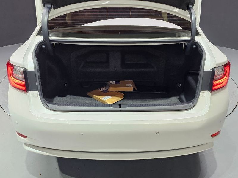 Image 19