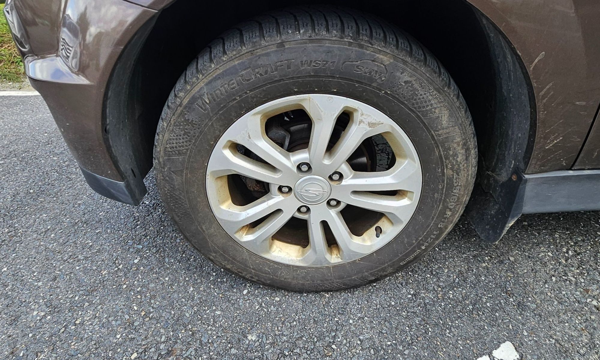 Image 19