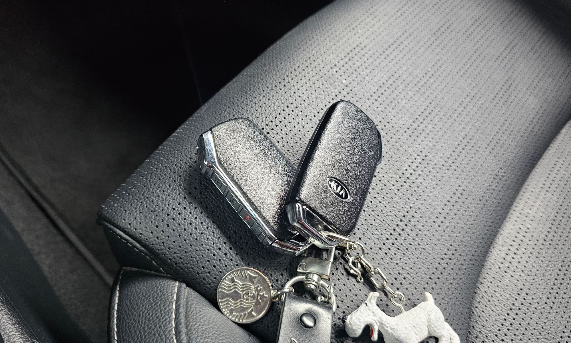 Image 15