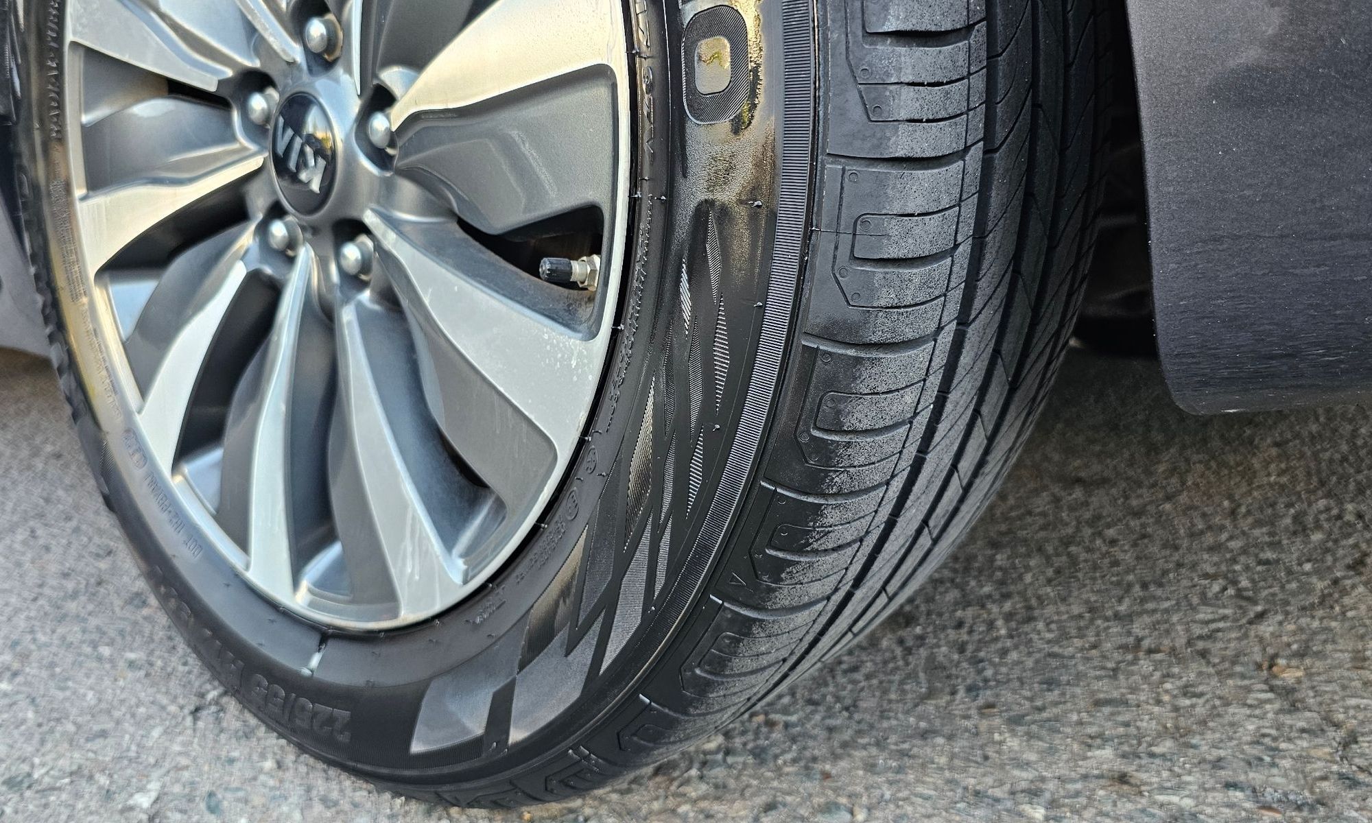 Image 19