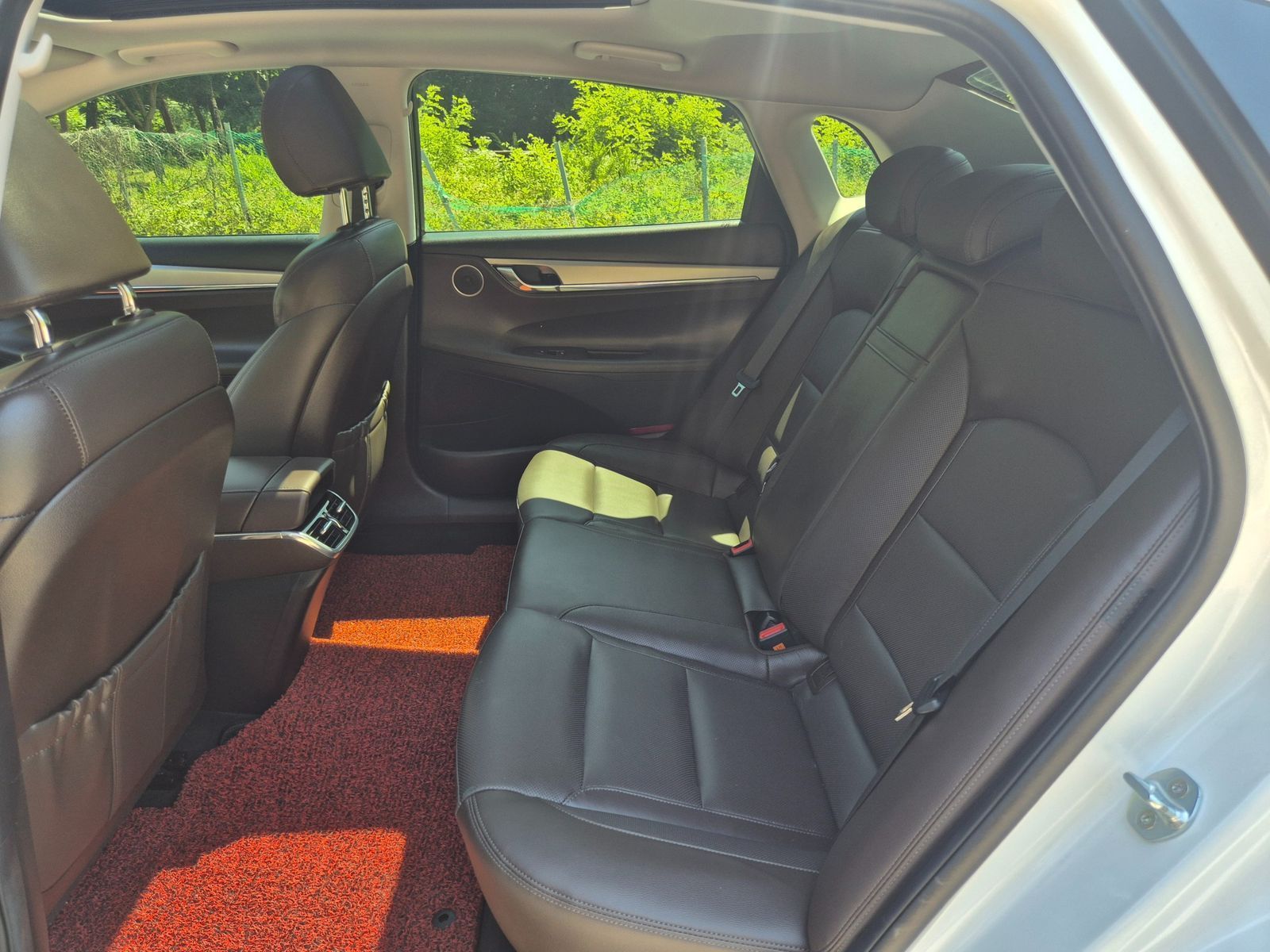 Image 16