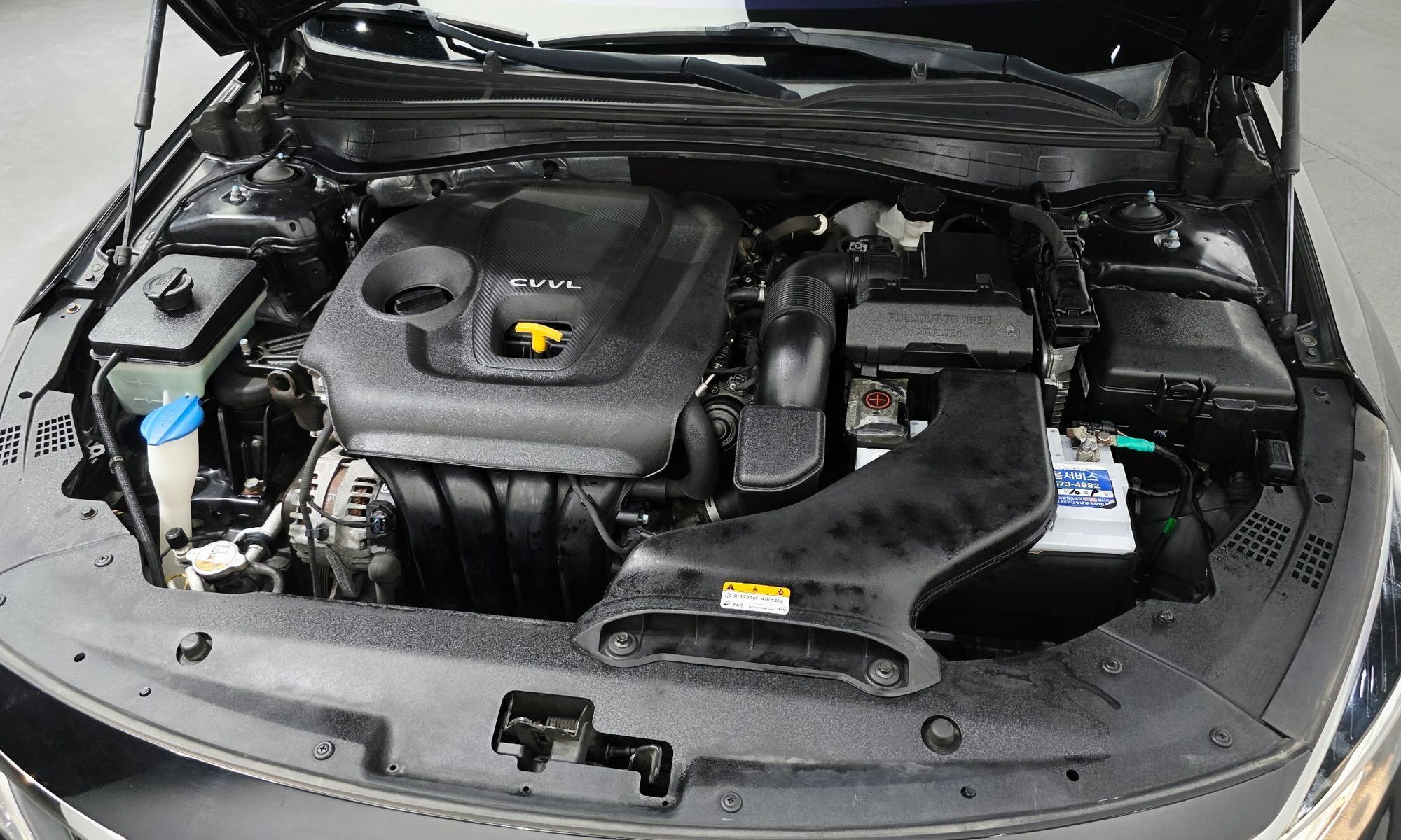 Image 5