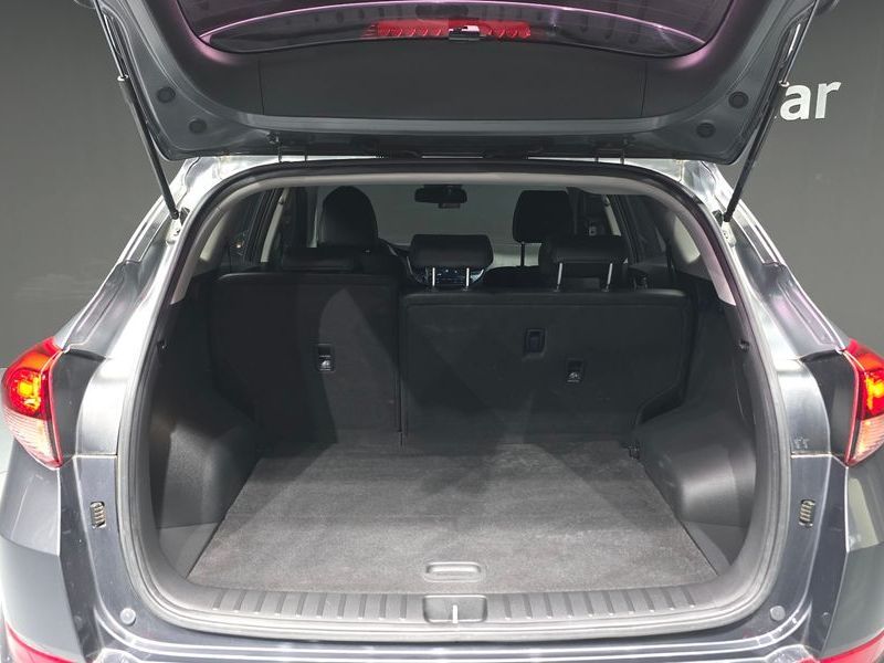 Image 19