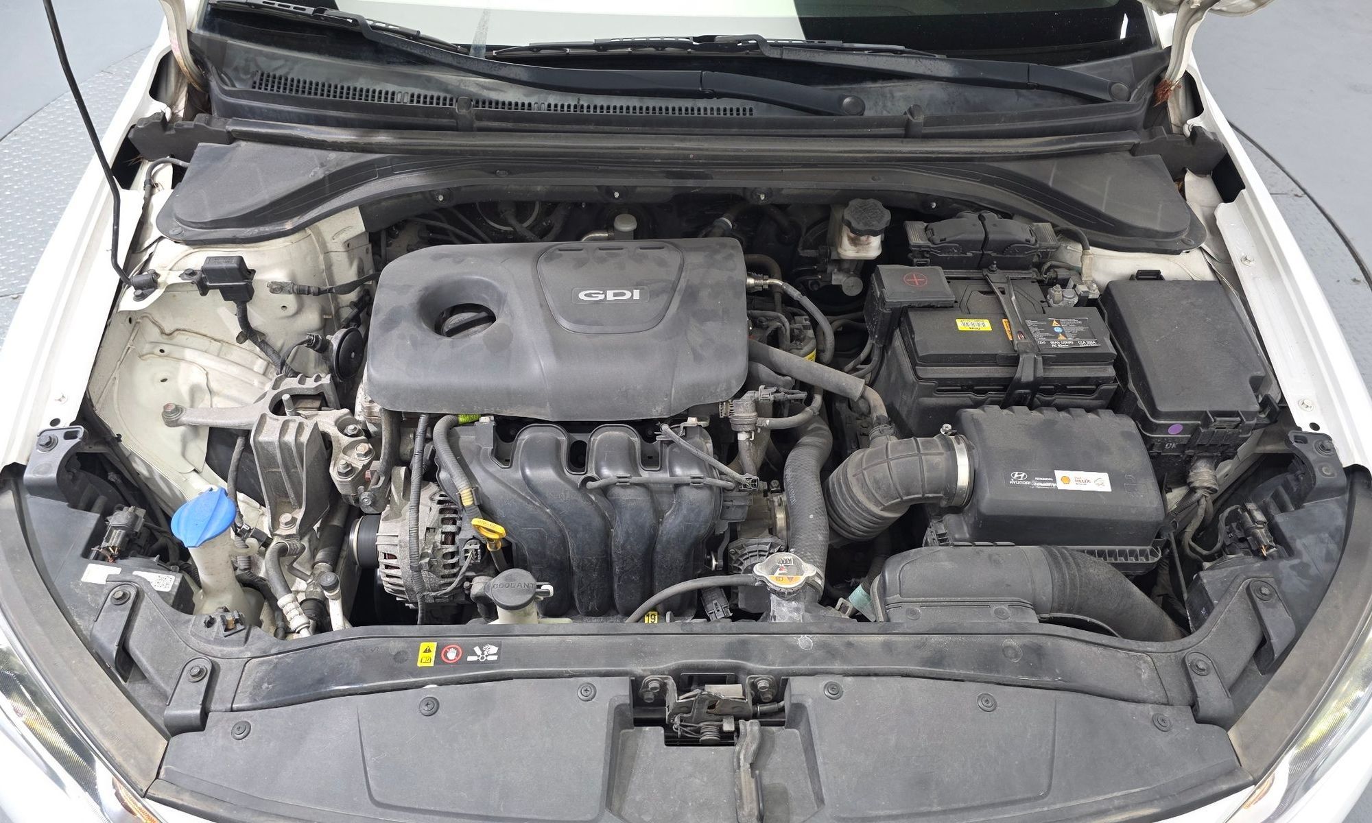 Image 5