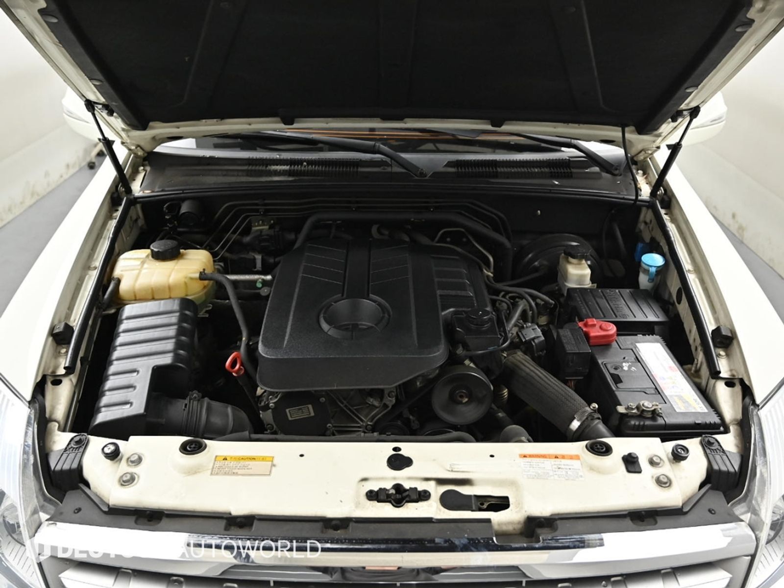 Image 5