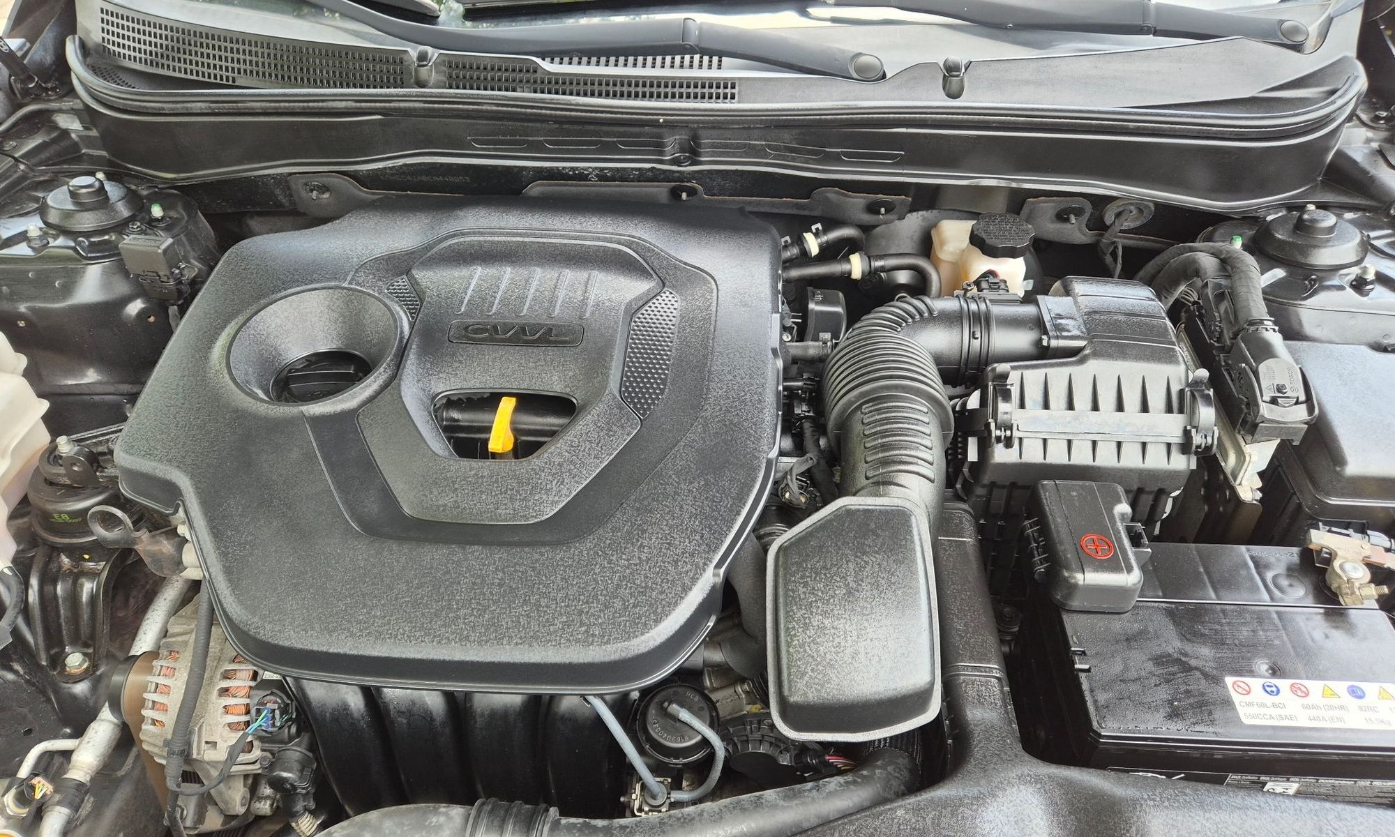 Image 5