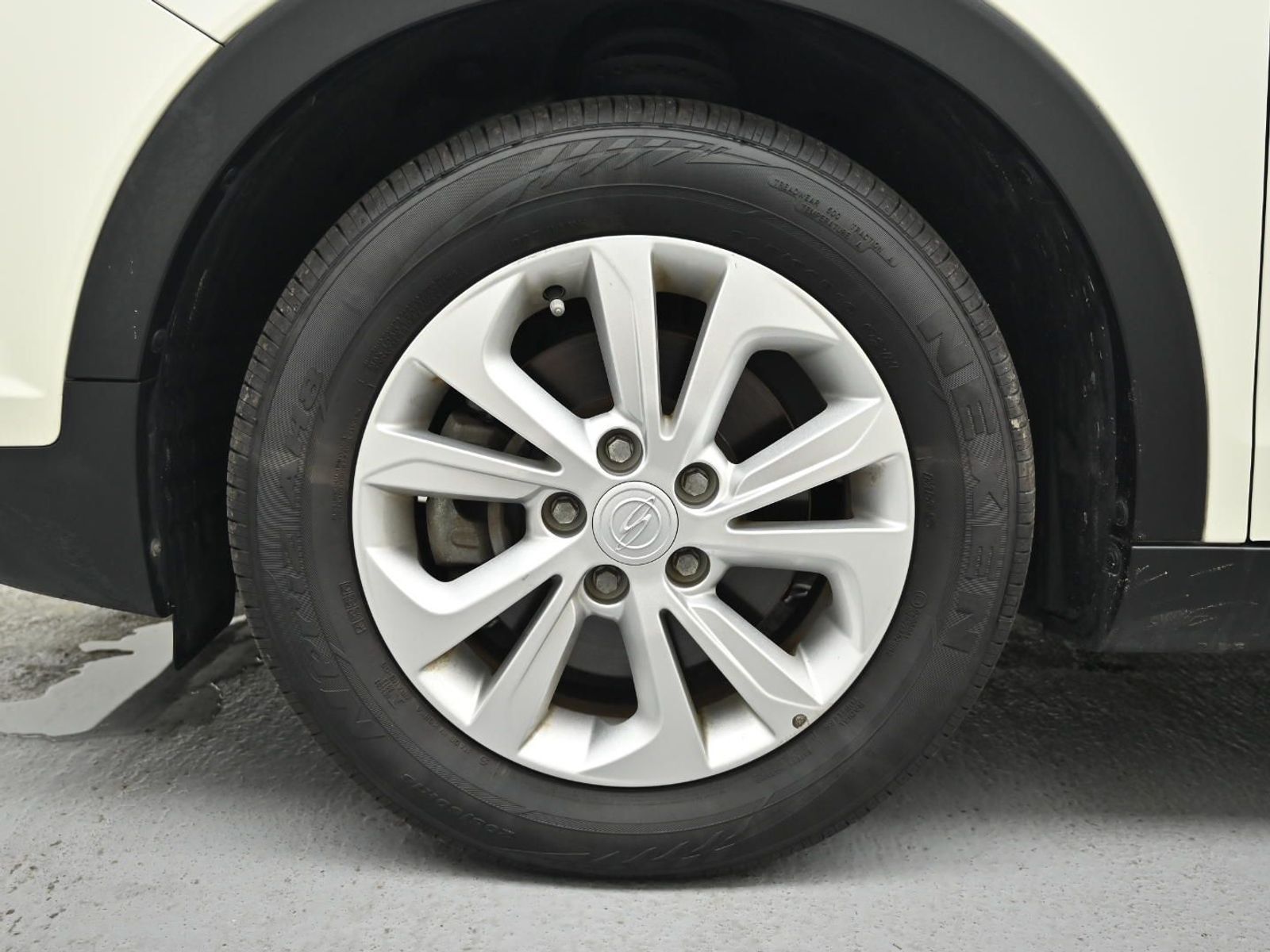 Image 4