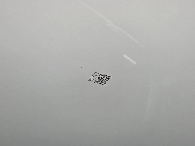 Image 19