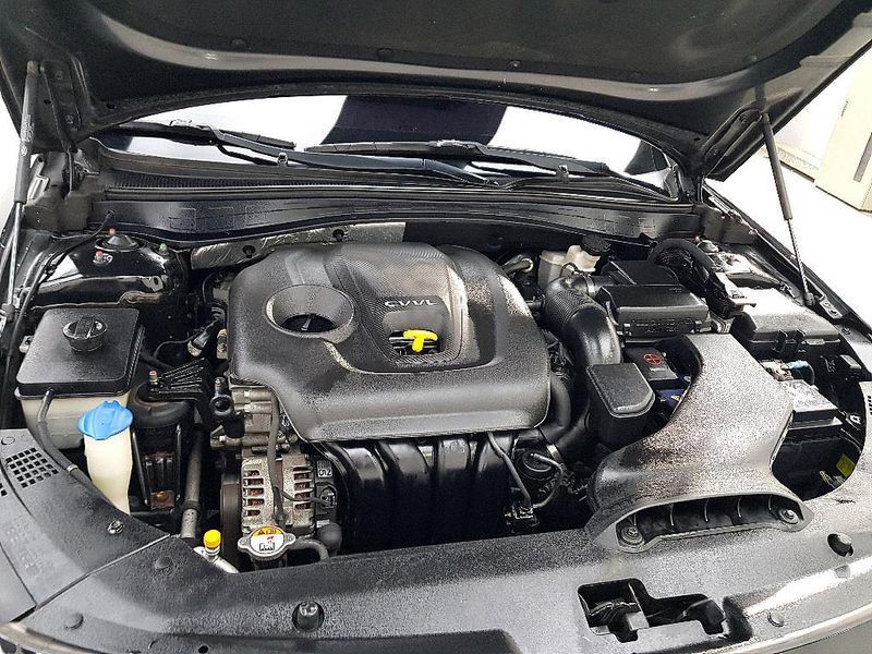 Image 5