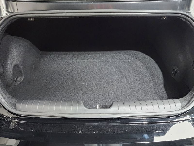 Image 19
