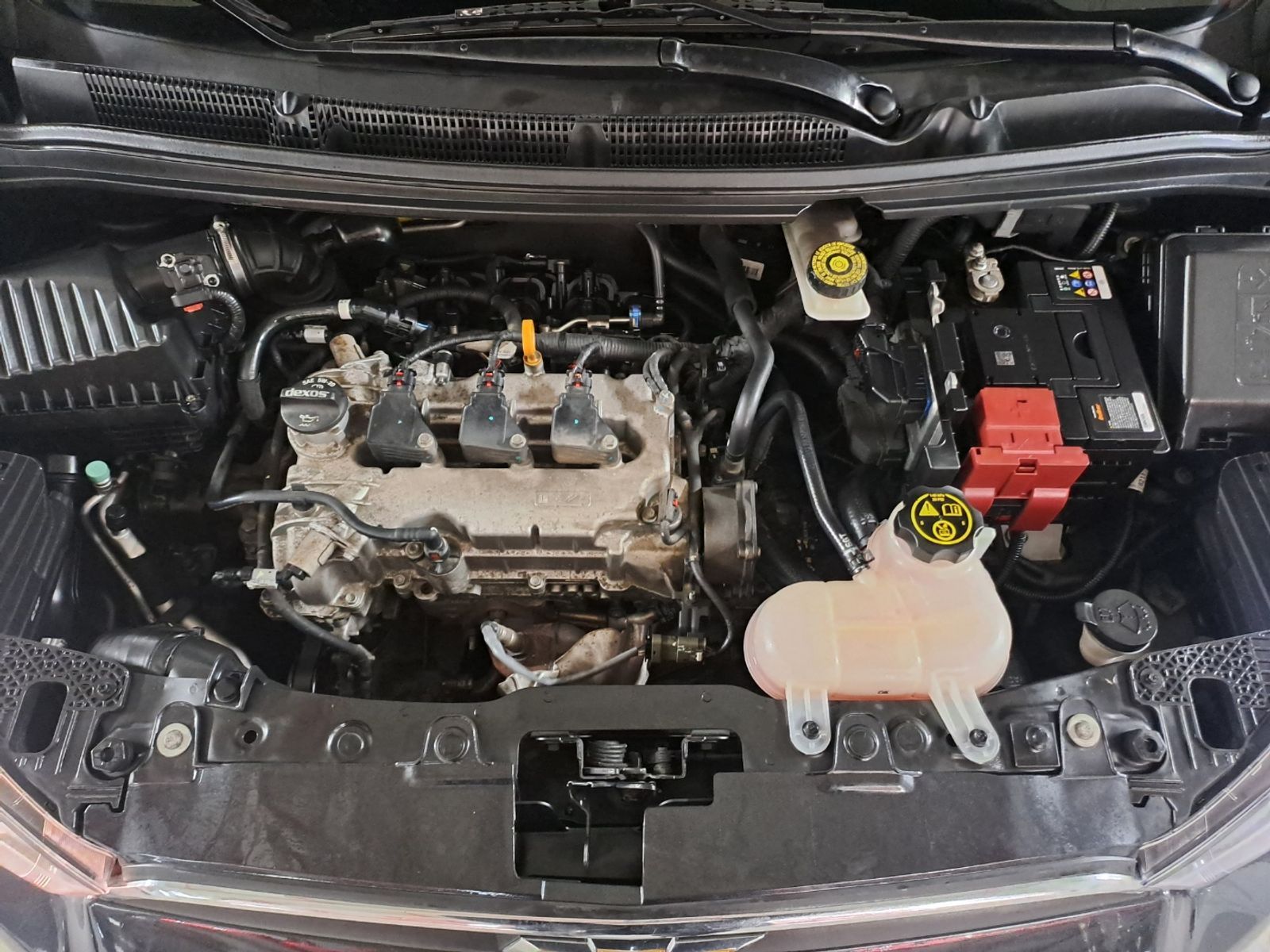 Image 5