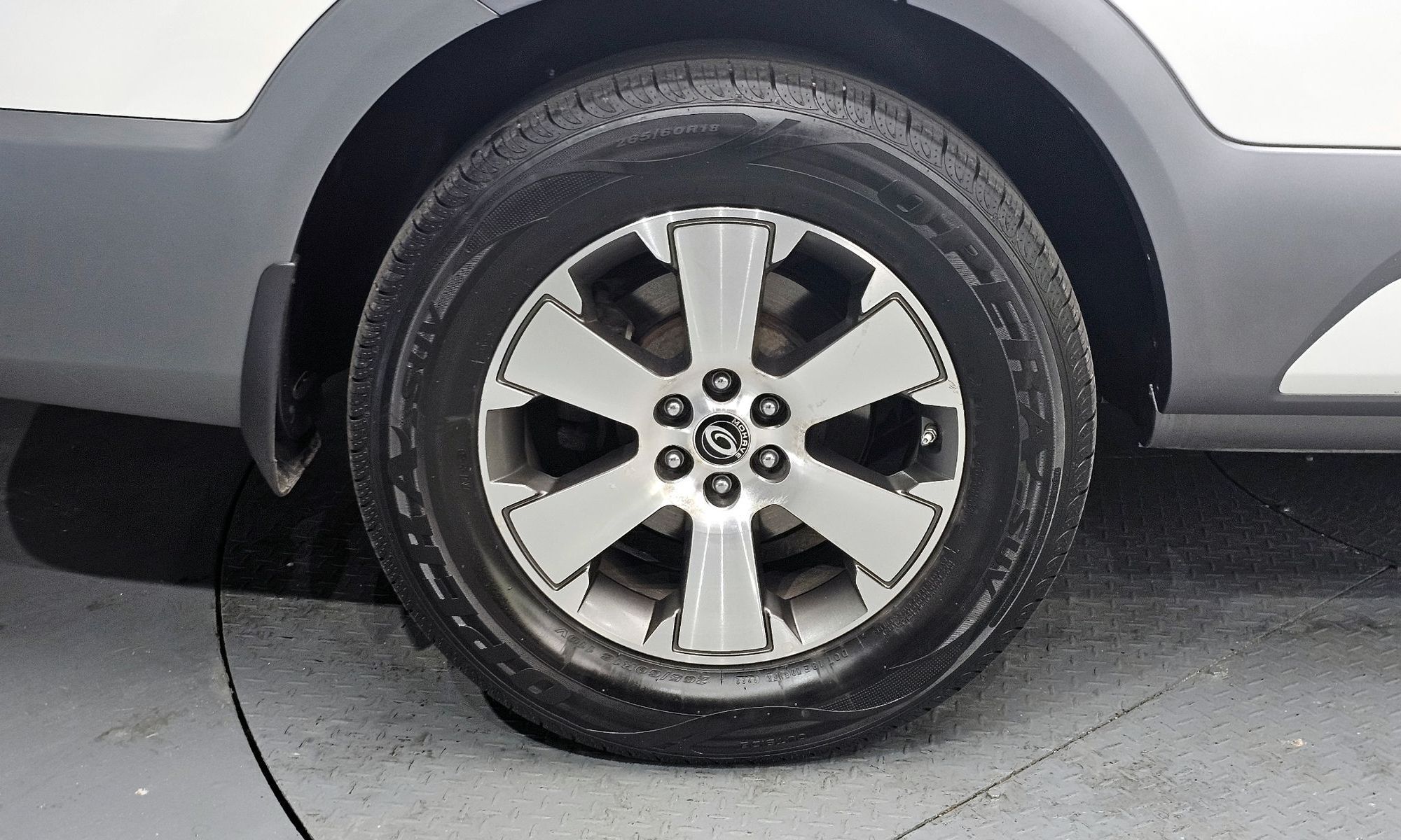 Image 4