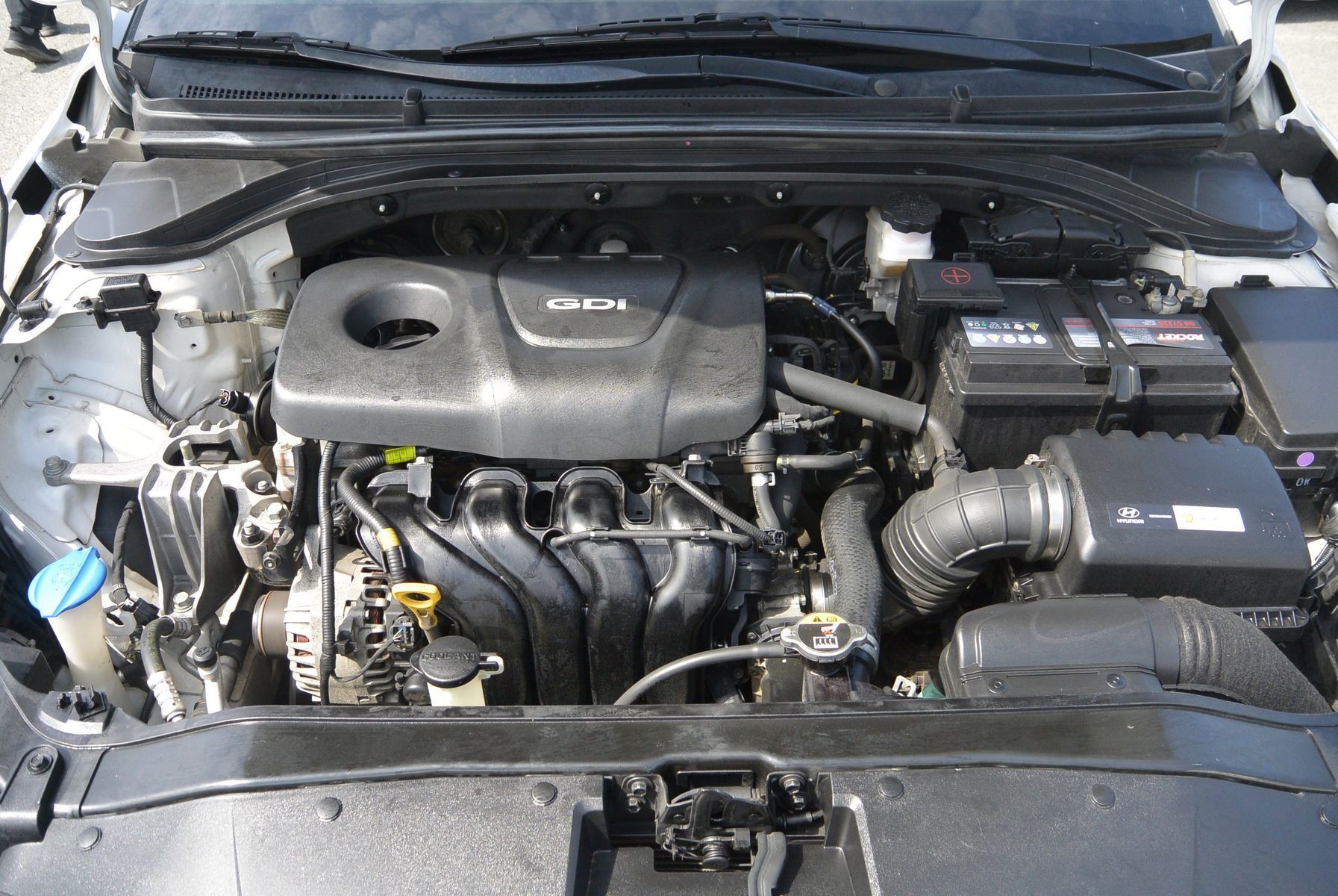 Image 5