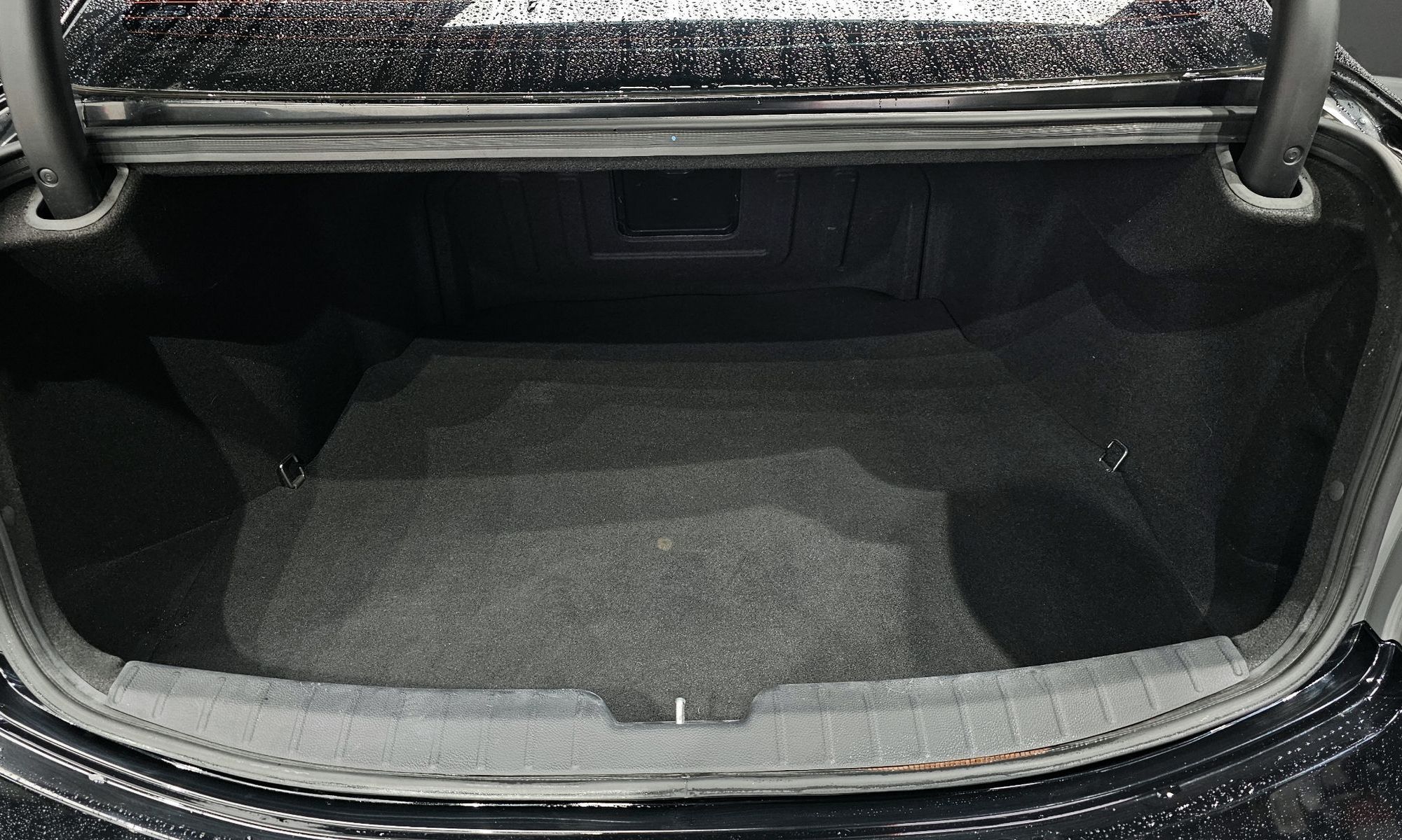 Image 19