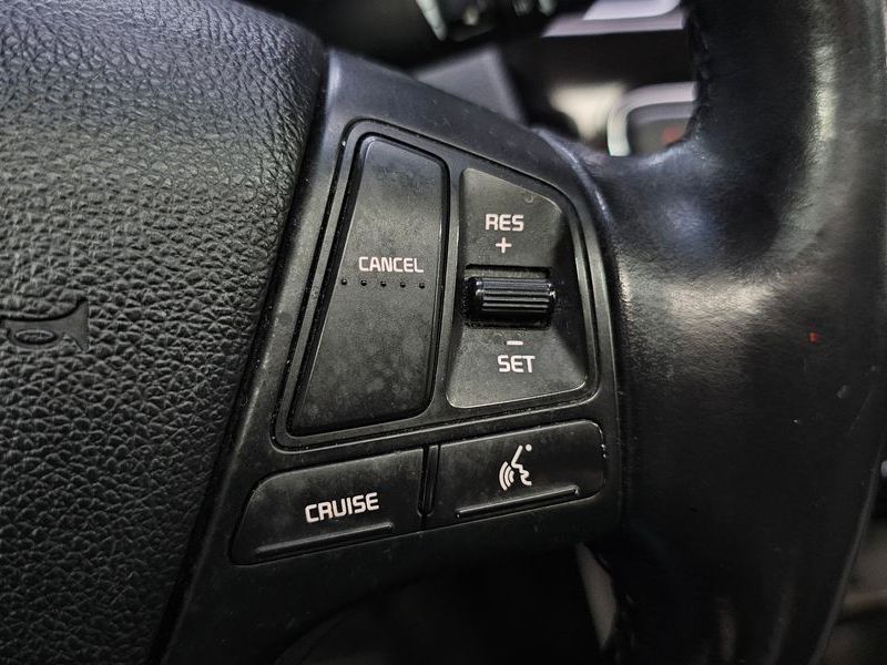 Image 19
