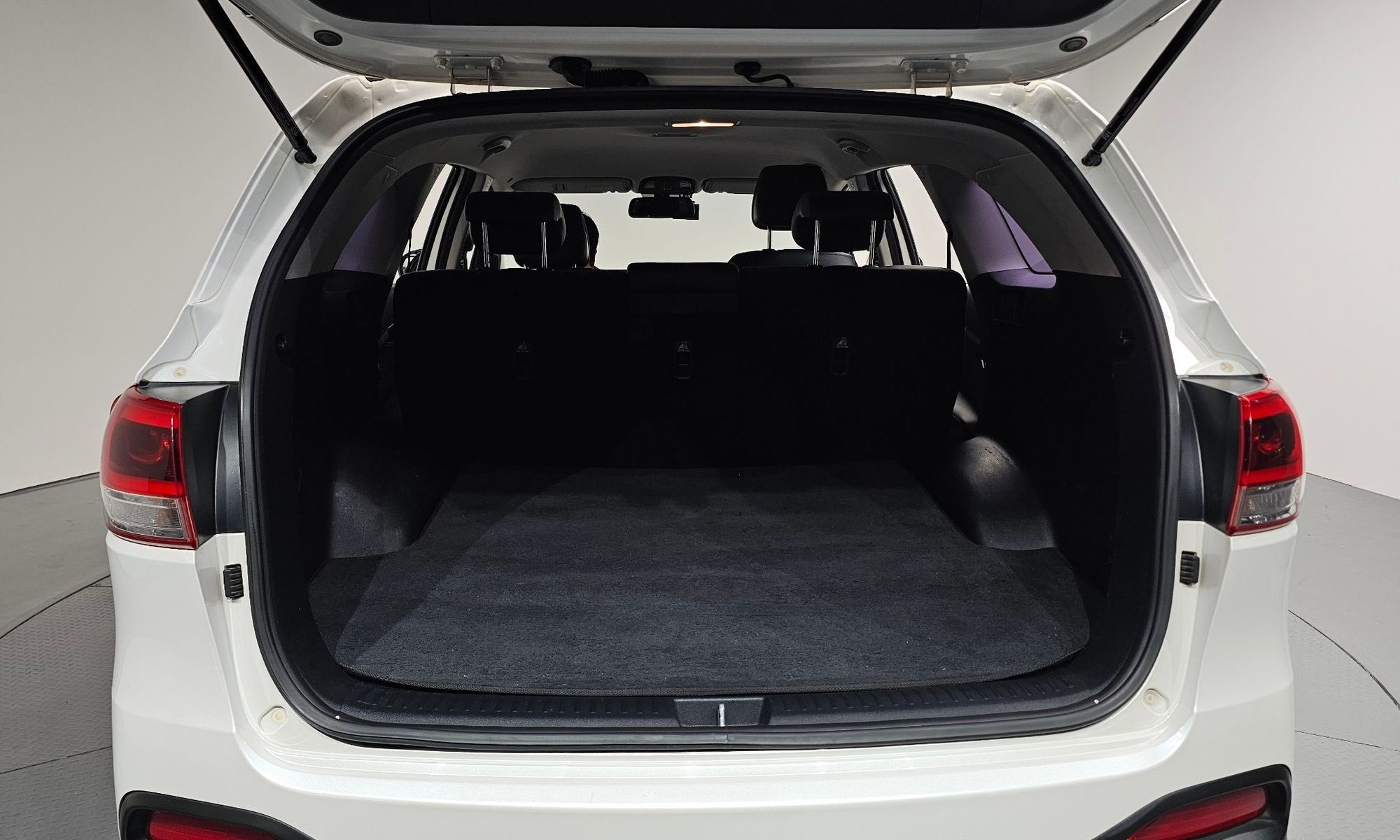 Image 19